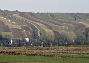 Przeprowadzka na wieś. Ten trend wciąż się rozwija - Radio Kielce