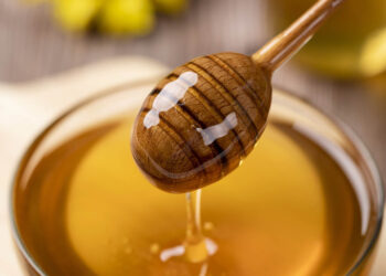 Miód na zdrowie. Który wybrać na jesień i zimę? - Radio Kielce