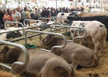 Zmiany w zasadach rejestrowania i znakowania zwierząt - Radio Kielce