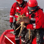 Fot. OSP KSRG Małogoszcz