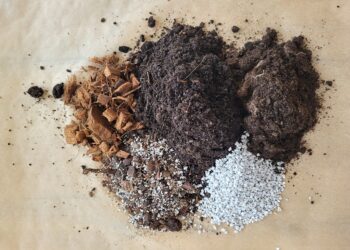 Zdjęcie ilustracyjne podłoży / Fot. PIORIN