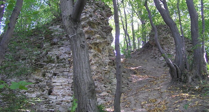 Ruiny zamku Szumsko. / Fot. zamkiobronne.pl