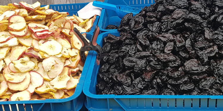 Suszone owoce / Fot. Marzena Smoręda – Radio Kielce