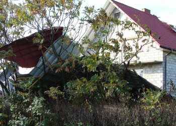 Co i na ile ubezpieczają polscy rolnicy? - Radio Kielce