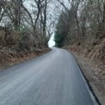 Wąwozy lessowe w Głazowie i Lenarczycach w gminie Obrazów / Fot. Grażyna Szlęzak - Radio Kielce