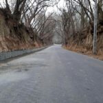 Wąwozy lessowe w Głazowie i Lenarczycach w gminie Obrazów / Fot. Grażyna Szlęzak - Radio Kielce