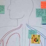 Zdjęcia prac uczniów III LO im. C.K. Norwida / Fot. Katarzyna Pelc