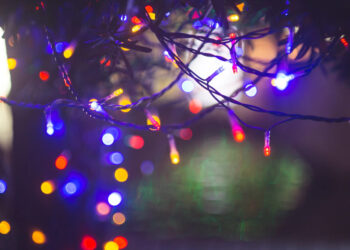 Fot. Canva