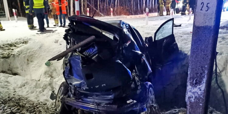 Fot. policja Przysucha