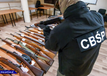 Przejęcie 146 jednostek broni palnej / źródło: cbsp.policja.pl