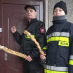 24.12.2022. Skalbmierz. Druhowie OSP Skalbmierz z wilijokiem. Na zdjęciu (od lewej): Piotr Dębowski - prezes Ochotniczej Straży Pożarnej w Skalbmierzu i Mikołaj Grzyb członek młodzieżowej drużyny / Fot. Adam Dębowski