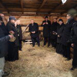 21.12.2022. Sandomierz. Żywa szopka. / Fot. ks. Grzegorz Słodkowski -rzecznik diecezji sandomierskiej