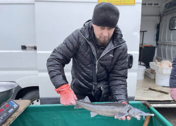 Ceny warzyw i owoców na Targowicy w Końskich (6.12.2022) - Radio Kielce