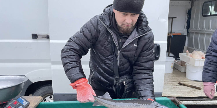 Ceny warzyw i owoców na Targowicy w Końskich (6.12.2022) - Radio Kielce Ceny warzyw i owoców na Targowicy w Końskich (6.12.2022) - Radio Kielce