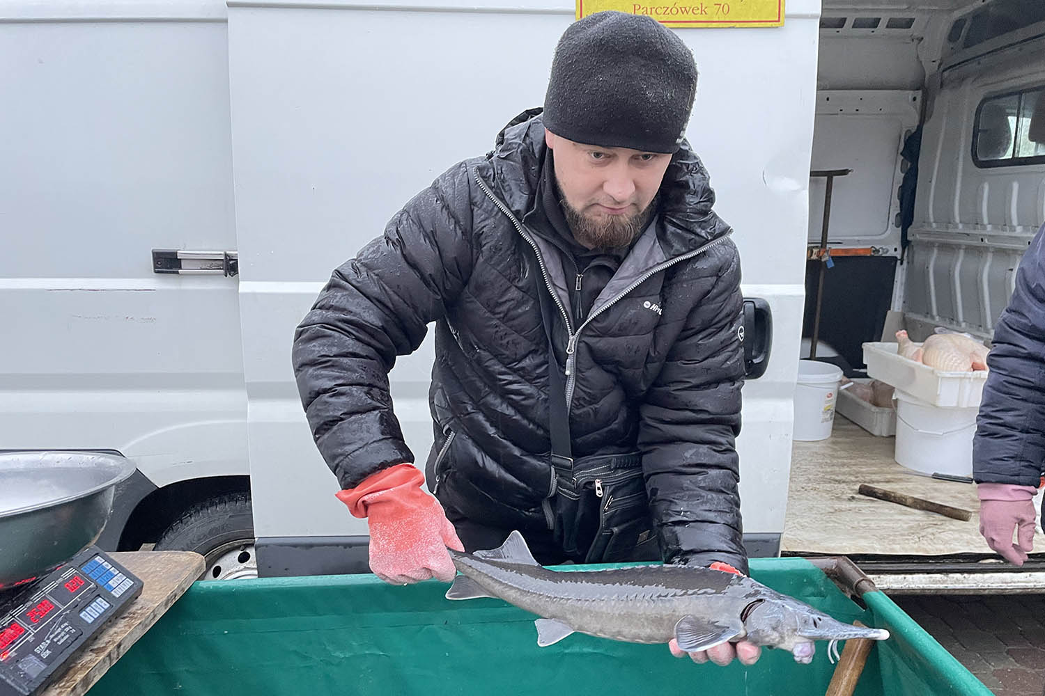 Ceny warzyw i owoców na Targowicy w Końskich (6.12.2022) - Radio Kielce Fot. Magdalena Galas-Klusek - Radio Kielce