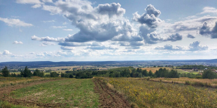 Depopulacja i starzenie się świętokrzyskich wsi i miast - Radio Kielce