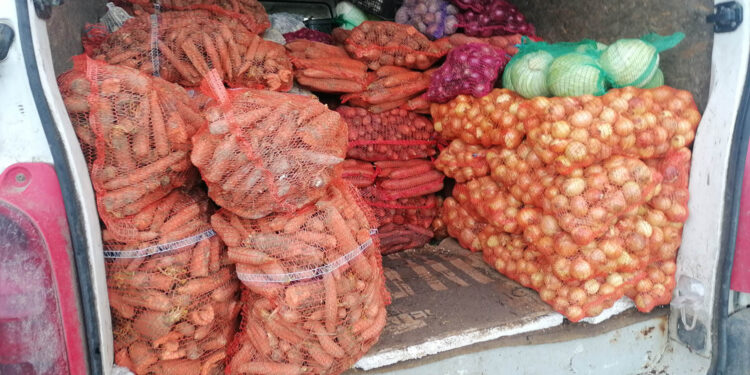 27.12.2022. Pińczów. Owoce i warzywa na targowisku miejskim / Fot. Marta Gajda-Kruk - Radio Kielce