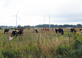 Wdrożenie nowej WPR i pomoc rolnikom – najważniejsze zdania na 2023 r. - Radio Kielce