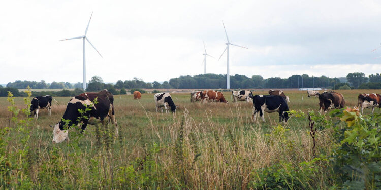 Wdrożenie nowej WPR i pomoc rolnikom – najważniejsze zdania na 2023 r. - Radio Kielce