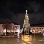 Choinka na kieleckim Rynku znów świeci. Pytanie na jak długo? - Radio Kielce 07.12.2022. Kielce. Choinka na Rynku / Fot. Wiktor Taszłow - Radio Kielce