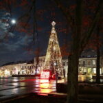 Choinka na kieleckim Rynku znów świeci. Pytanie na jak długo? - Radio Kielce 07.12.2022. Kielce. Choinka na Rynku / Fot. Wiktor Taszłow - Radio Kielce