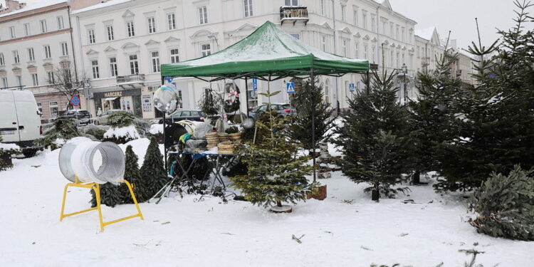 13.12.2022. Kielce. Sprzedaż choinek. Stoisko na Placu Wolności / Fot. Wiktor Taszłow – Radio Kielce