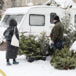 13.12.2022. Kielce. Sprzedaż choinek / Fot. Wiktor Taszłow - Radio Kielce
