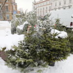 13.12.2022. Kielce. Sprzedaż choinek. Stoisko na Placu Wolności / Fot. Wiktor Taszłow – Radio Kielce