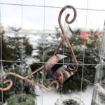 13.12.2022. Kielce. Sprzedaż choinek. Stoisko przed marketem Auchan / Fot. Wiktor Taszłow – Radio Kielce