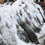 13.12.2022. Kielce. Sprzedaż choinek. Stoisko przed marketem OBI / Fot. Wiktor Taszłow – Radio Kielce