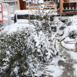 13.12.2022. Kielce. Sprzedaż choinek. Stoisko przed marketem OBI / Fot. Wiktor Taszłow – Radio Kielce