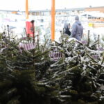 13.12.2022. Kielce. Sprzedaż choinek. Stoisko przed marketem OBI / Fot. Wiktor Taszłow – Radio Kielce