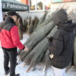 Oddaj krew, otrzymasz choinkę - Radio Kielce 14.12.2022. Kielce. Akcja „Choinka dla życia” / Fot. Wiktor Taszłow - Radio Kielce