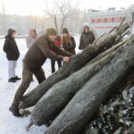 Oddaj krew, otrzymasz choinkę - Radio Kielce 14.12.2022. Kielce. Akcja „Choinka dla życia” / Fot. Wiktor Taszłow - Radio Kielce