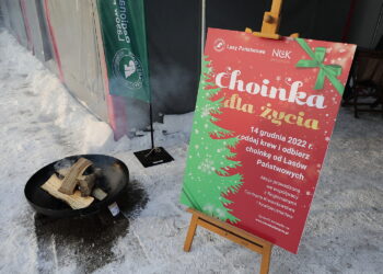 14.12.2022. Kielce. Akcja „Choinka dla życia” / Fot. Wiktor Taszłow - Radio Kielce