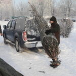 Oddaj krew, otrzymasz choinkę - Radio Kielce 14.12.2022. Kielce. Akcja „Choinka dla życia” / Fot. Wiktor Taszłow - Radio Kielce