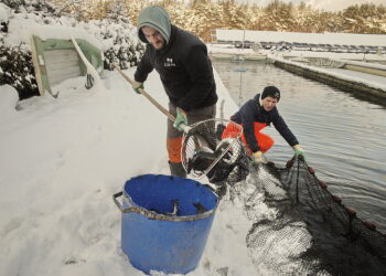 13.12.2022 Karsznice. Gospodarstwo rybackie Biała Nida / Fot. Jarosław Kubalski - Radio Kielce