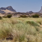 03.12.2022. Muzyczne podróże. Niger / Fot. Mirosław Lubarski