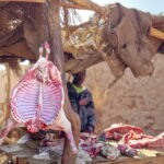 03.12.2022. Muzyczne podróże. Niger / Fot. Mirosław Lubarski