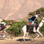 03.12.2022. Muzyczne podróże. Niger / Fot. Mirosław Lubarski