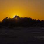 03.12.2022. Muzyczne podróże. Niger / Fot. Mirosław Lubarski