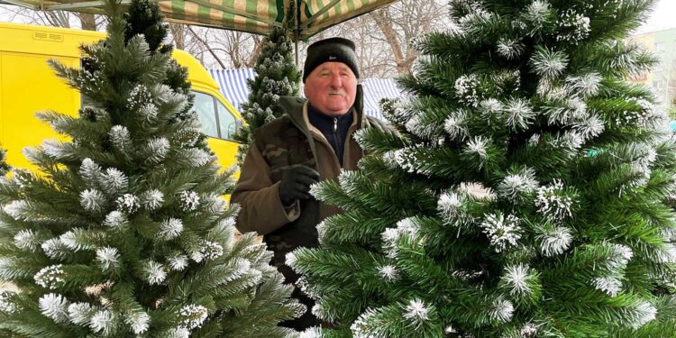 20.12.2022. Końskie. Targowicy Miejska. Świąteczne choinki / Fot. Magdalena Galas-Klusek - Radio Kielce