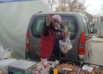 Ile kosztują suszone grzyby przed świętami? - Radio Kielce