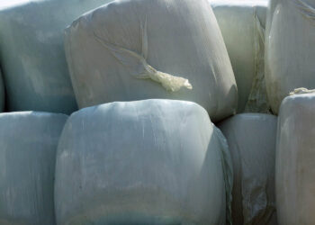 W 2023 r. wnioski o dofinansowanie odpadów z folii z działalności rolniczej - Radio Kielce