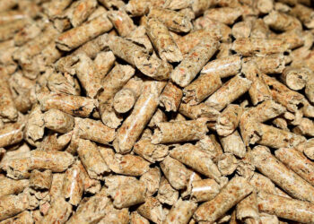 Pellet / Fot. Pixabay