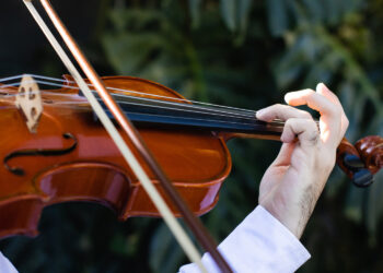 RYM SIĘ NIESIE PO POLU PO LESIE. „Zagraj mi skrzypeczku” [POSŁUCHAJ] - Radio Kielce