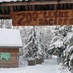 15.12.2022. Lisów. ZOO Leśne Zacisze / Fot. Daniel Czwartosz – Radio Kielce