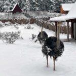 15.12.2022. Lisów. ZOO Leśne Zacisze / Fot. Daniel Czwartosz – Radio Kielce