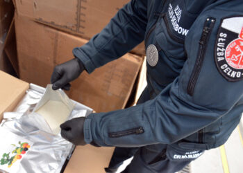 Funkcjonariusze KAS wykryli pół tony nielegalnych środków ochrony roślin - Radio Kielce