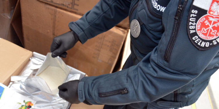 Funkcjonariusze KAS wykryli pół tony nielegalnych środków ochrony roślin - Radio Kielce Funkcjonariusze KAS wykryli pół tony nielegalnych środków ochrony roślin - Radio Kielce